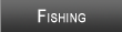 Flaming Gorge Reservoir Fishing
